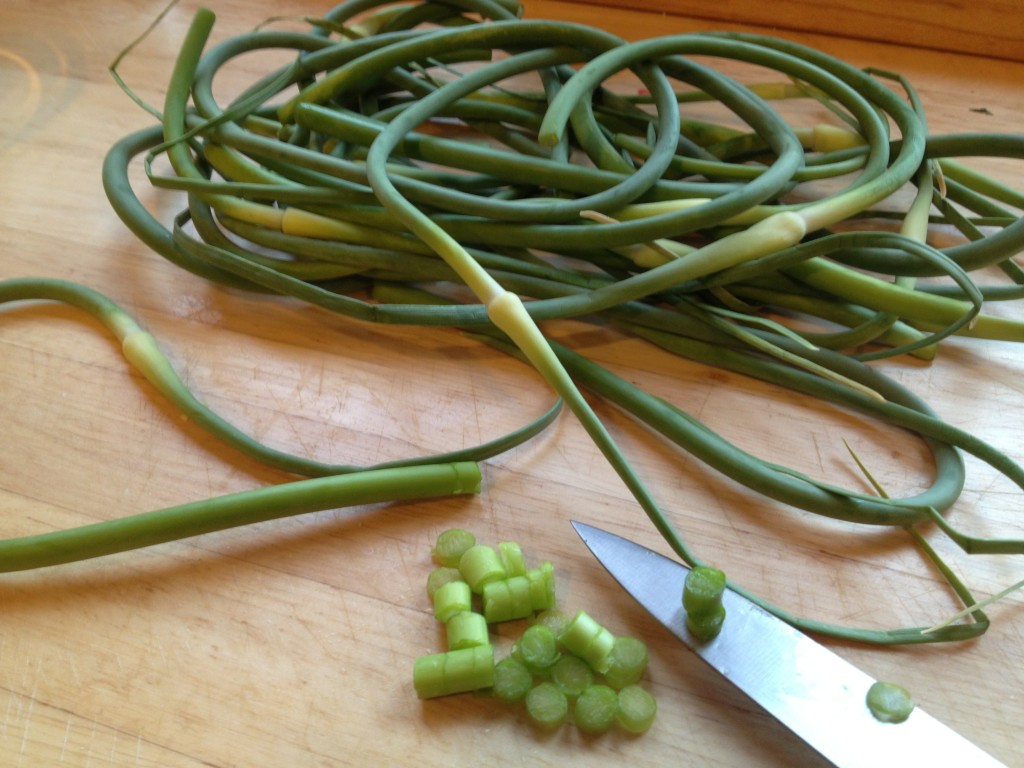 Well Dined | Garlic Scapes