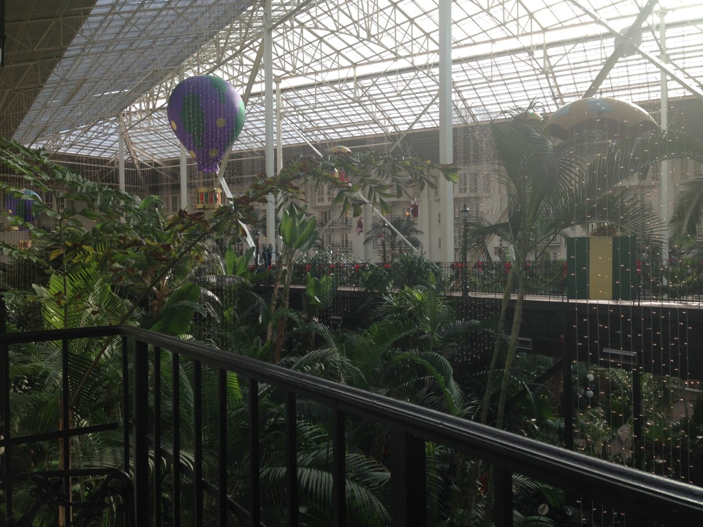 Well Dined | Gaylord Opryland
