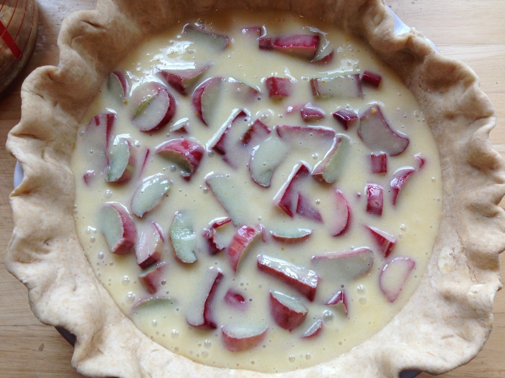 Well Dined | Rhubarb Sour Cream Pie