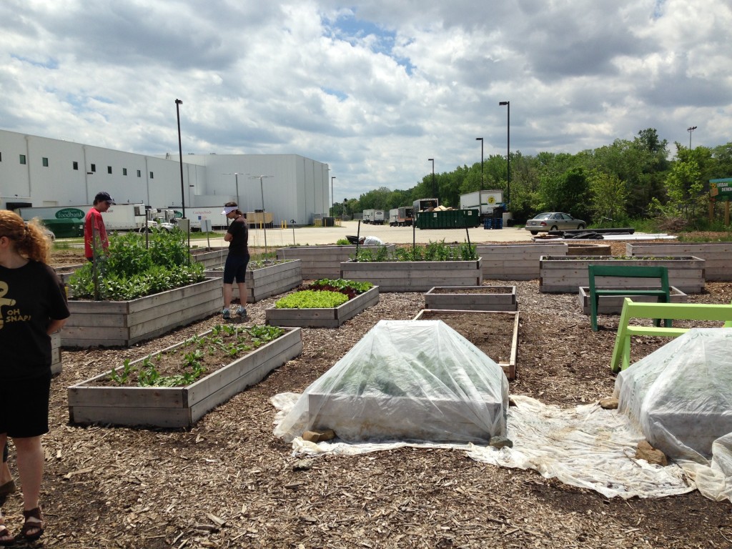 Well Dined | Capital Area Food Bank Urban Demonstration Garden