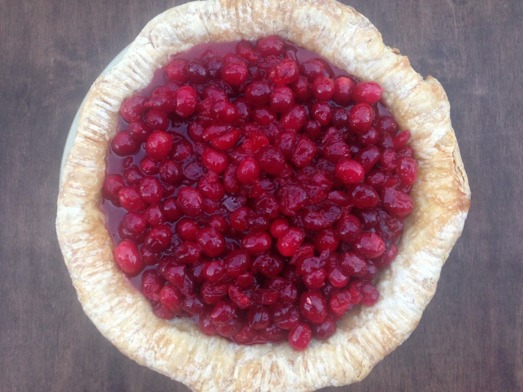 Well Dined | Cranberry Custard Pie