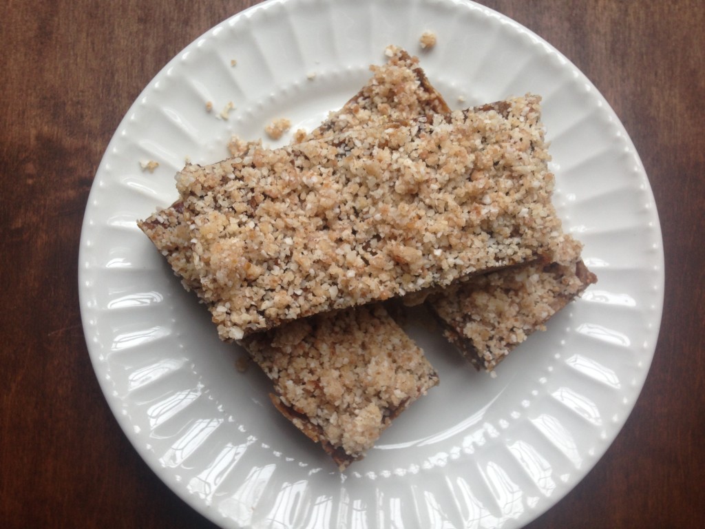 Well Dined | No Bake Vegan Date and Nut Bars