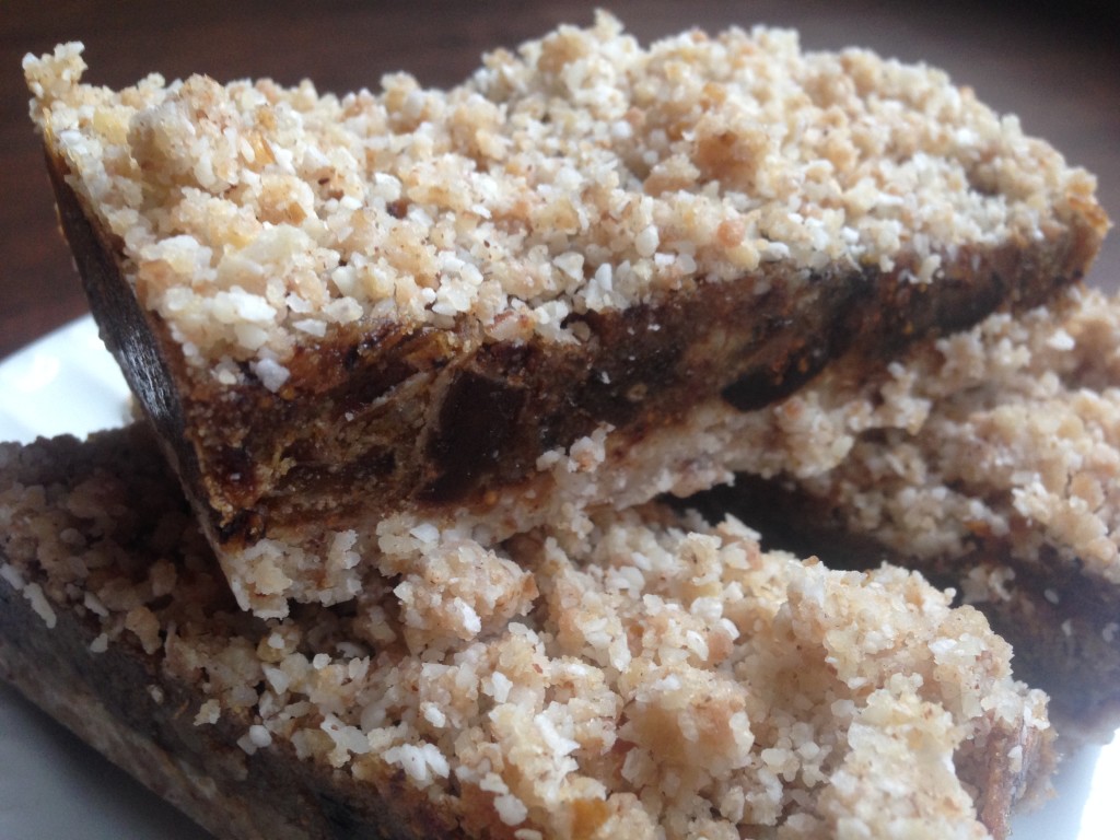 Well Dined | No Bake Vegan Date and Nut Bars