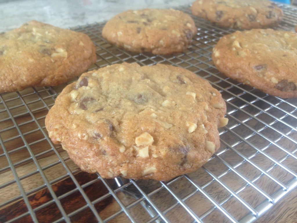 Well Dined | Doubletree Hotel Chocolate Chip Cookies